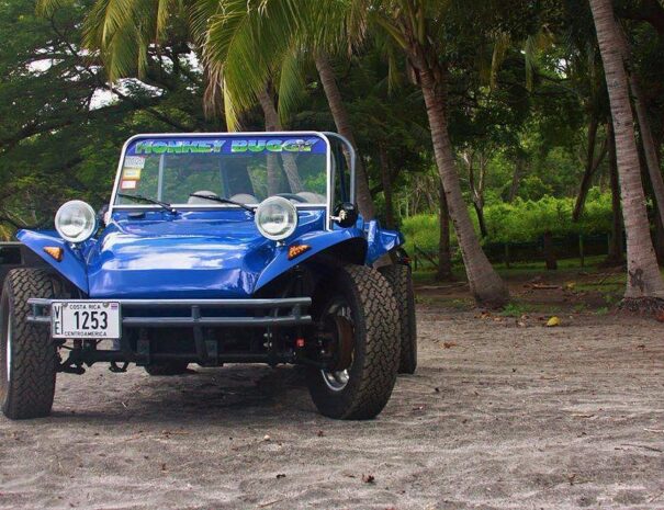 private-beach-buggy-tour